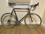 Vintage Schwinn Paramount 61cm EC!