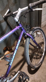 Recently serviced Diamondback Ascent medium frame mountain bike