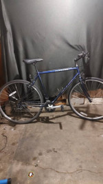 Recently Serviced Giant Farrago hybrid of call persons bicycle