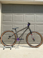 Fully Custom Dirt Jump Bike