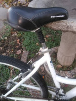 Schwinn Comfort Hybrid w/ deluxe features