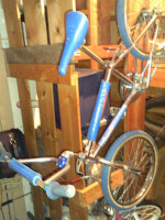 Schwinn Predator freeform BG Vintage