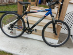 Trek 4900 men's bike