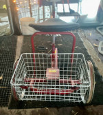 Tricycle adult size     Desota classic