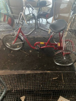 Tricycle adult size     Desota classic