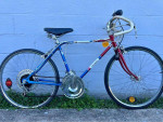 Vintage 1973 Boy's Free Spirit "Ted Williams" 10 Speed Bike