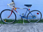 Vintage 1973 Boy's Free Spirit "Ted Williams" 10 Speed Bike