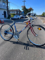 Vintage 1973 Boy's Free Spirit "Ted Williams" 10 Speed Bike
