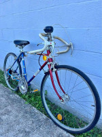 Vintage 1973 Boy's Free Spirit "Ted Williams" 10 Speed Bike