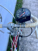 Vintage 1973 Boy's Free Spirit "Ted Williams" 10 Speed Bike