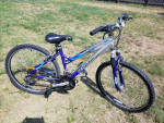 Womens Schwinn Bike