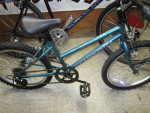 1995 Schwinn Sidewinder 20" wheel girls bicycle