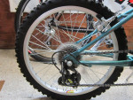 1995 Schwinn Sidewinder 20" wheel girls bicycle