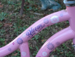 Girls 16" Schwinn Bike
