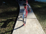 Ladies 26" Single Speed Cruiser Bike