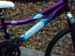 Girls 24" Gary Fisher Mountain Bike