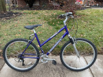 Diamond Back Sorrento MT Bike