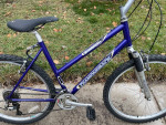 Diamond Back Sorrento MT Bike