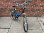 Diamond Back Wildwood Hybrid Bike