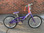 Kid's 20 inch Trek Mystic Bike