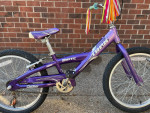 Kid's 20 inch Trek Mystic Bike