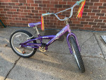 Kid's 20 inch Trek Mystic Bike