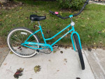 Florida Marlins Flordia Cruiser Bike