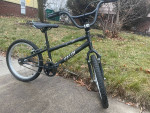 20 inch Caloi Expert BMX Bike