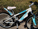 24 inch Novara Mixie 24 mountain bike