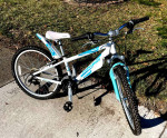 24 inch Novara Mixie 24 mountain bike