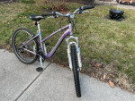 Purple Schwinn Ranger Mountain Bike