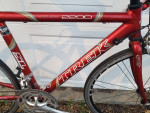 Reconditioned 2006 Trek SL 2200 Road/Race Bike w/47cm frame