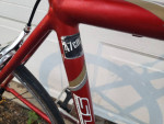 Reconditioned 2006 Trek SL 2200 Road/Race Bike w/47cm frame