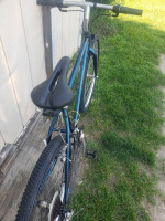 Reconditioned 1995 Trek 820 Mountain Bike w/18" frame