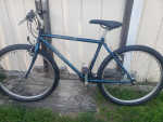 Reconditioned 1995 Trek 820 Mountain Bike w/18" frame