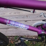 MONGOOSE FLING 180 BMX BIKE