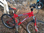 schwinn mountain bike 21 speed