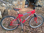 schwinn mountain bike 21 speed