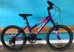 Nishiki Pueblo 20” kids mountain bike