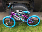 18" BIKE $38