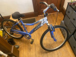 Next Avalon Comfort Series Bicycle