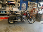 1988 Harley Davidson FXSTC Softail Custom