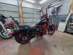 Sportster 1200