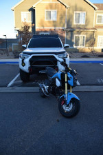 2019 Honda Grom - 800 miles