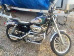 Custom 883 sportster