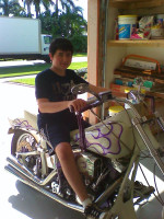 1985 Harley Davidson Softail