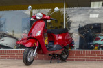 2023 Wolf Lucky 50cc - 50cc Moped Scooter