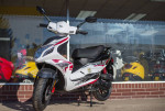 2023 Wolf Blaze 50cc - 50cc Moped Scooter