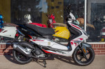 2023 Wolf Blaze 50cc - 50cc Moped Scooter