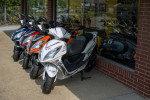 2023 Wolf EX150 - 150cc Scooter